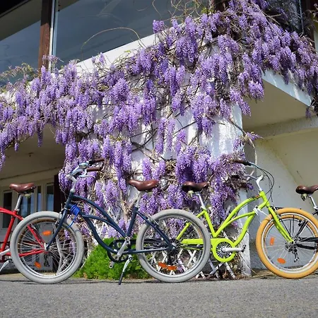 Miradour 3* Тарно